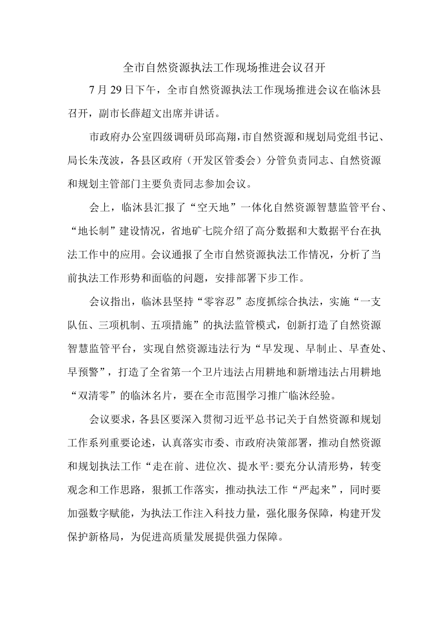 全市自然资源执法工作现场推进会议召开.docx_第1页