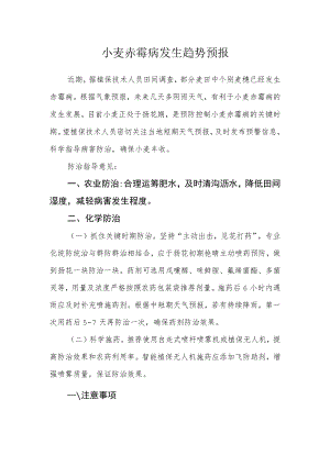 小麦赤霉病发生趋势预报.docx