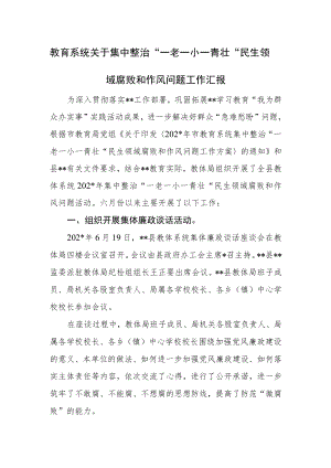 教育系统关于集中整治“一老一小一青壮”民生领域腐败和作风问题工作汇报.docx