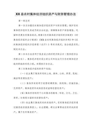 XX县农村集体经济组织资产与财务管理办法.docx