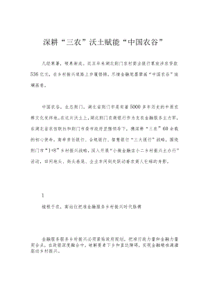深耕“三农”沃土 赋能“中国农谷”.docx