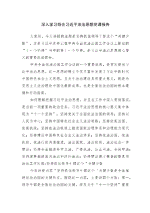深入学习领会法治思想党课报告.docx