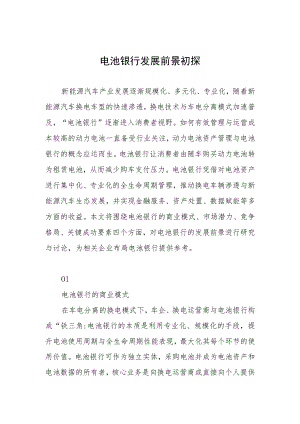电池银行发展前景初探.docx