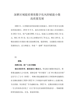 深耕区域 提质增效 数字化风控赋能小微高质量发展.docx