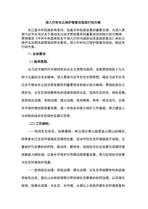 深入打好长江保护修复攻坚战行动方案.docx