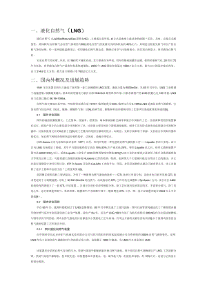 液化天然气.docx