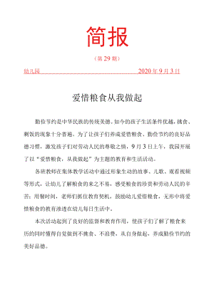 爱惜粮食从我做起主题教育简报.docx