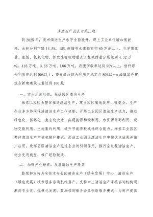 清洁生产试点示范工程.docx