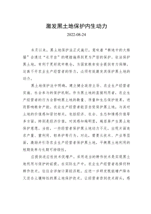 激发黑土地保护内生动力.docx