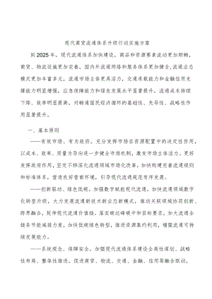 现代商贸流通体系升级行动实施方案.docx