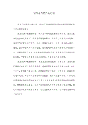 琥珀是自然界的奇迹作文350字.docx