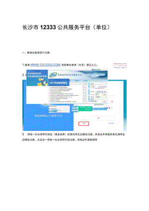 长沙社保系统 操作手册.docx