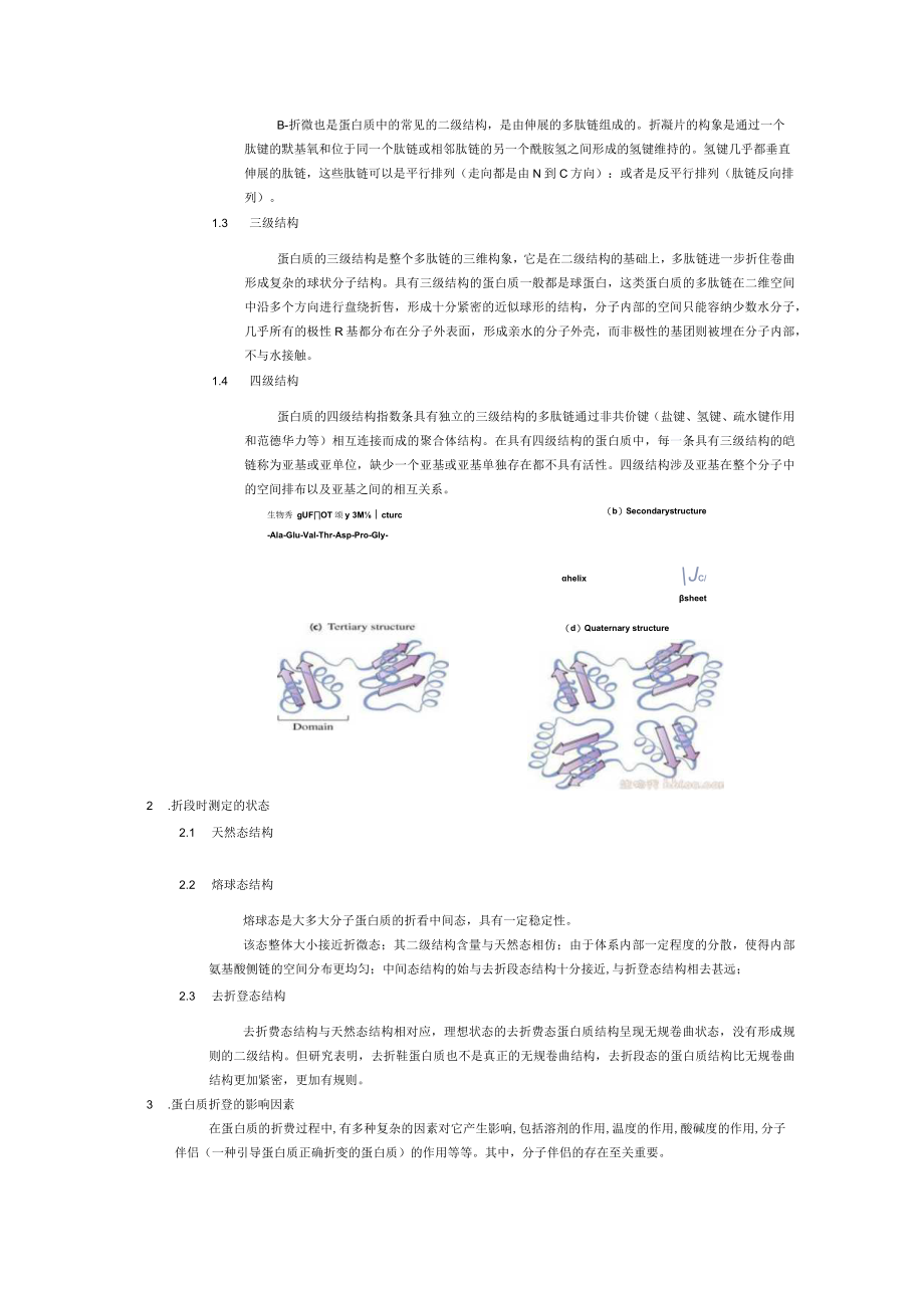 蛋白质的折叠.docx_第2页