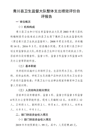 青川县卫生监督大队整体支出绩效评价自评报告.docx