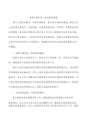 组建支撑机构制定配套措施.docx