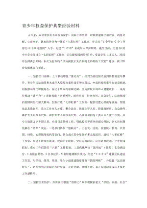 青少年权益保护典型经验材料.docx