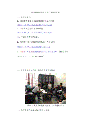 高青县重点企业信息公开情况汇报.docx