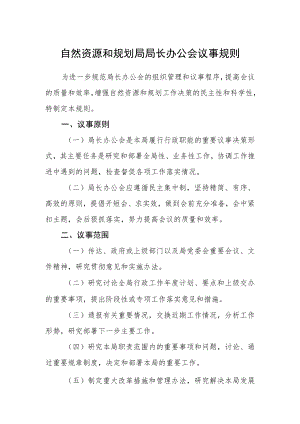 自然资源和规划局局长办公会议事规则.docx