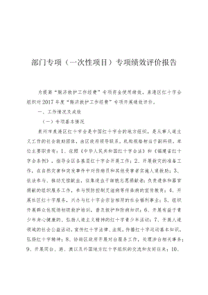 部门专项(一次性项目)专项绩效评价报告.docx