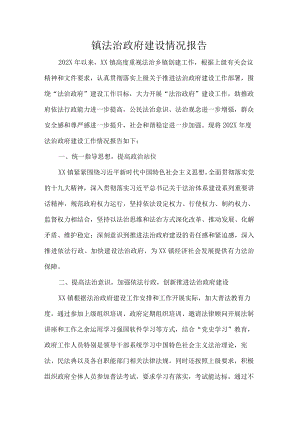 镇法治政府建设情况报告.docx