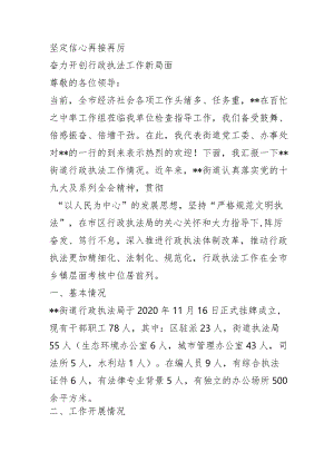 行政执法迎检汇报.docx