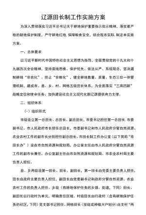 辽源田长制工作实施方案.docx