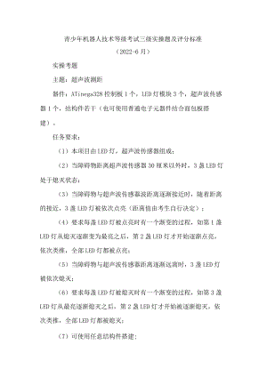 青少年机器人技术等级考试三级实操题及评分标准.docx