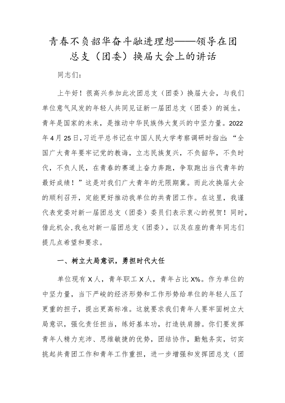 青春不负韶华奋斗融进理想——领导在团总支（团委）换届大会上的讲话.docx_第1页