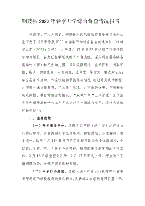 铜鼓县2022年春季开学综合督查情况报告.docx