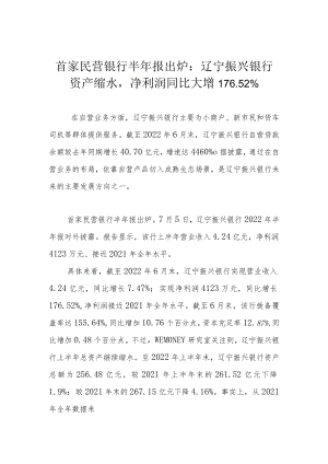 首家民营银行半年报出炉：辽宁振兴银行资产缩水净利润同比大增176.52%.docx