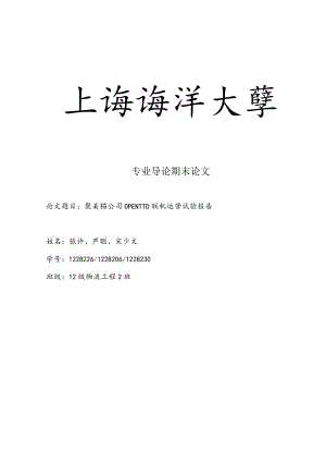 聚美猫公司OPENTTD联机运营试验报告.docx