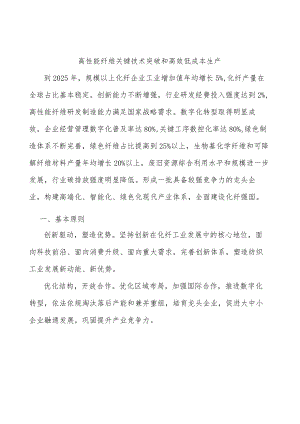 高性能纤维关键技术突破和高效低成本生产.docx