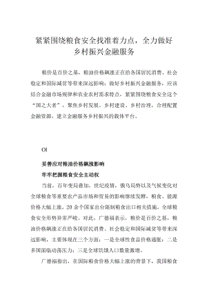 紧紧围绕粮食安全找准着力点全力做好乡村振兴金融服务.docx