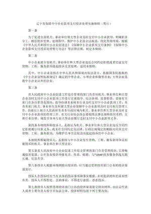 辽宁省保障中小企业款项支付投诉处理实施细则（暂行）.docx