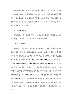 统计系统新进工作人员个人总结.docx