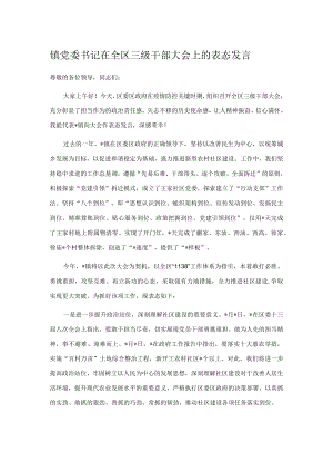 镇党委书记在全区三级干部大会上的表态发言.docx