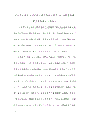 青年干部学习《新发展阶段贯彻新发展理念必然要求构建新发展格局》心得体会.docx