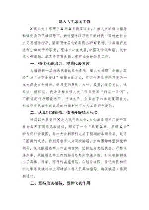 镇人大主席团工作总结.docx