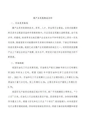 膜产业发展概述分析.docx