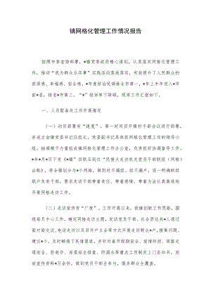 镇网格化管理工作情况报告.docx