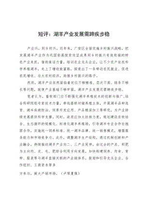 短评：湖羊产业发展需蹄疾步稳.docx