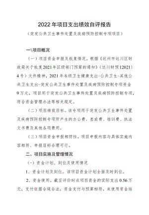 达州市达川区卫生和计划生育监督执法大队2022年项目支出绩效自评报告.docx