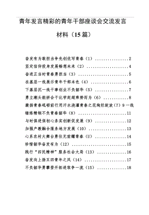 青年发言精彩的青年干部座谈会交流发言材料（15篇）.docx