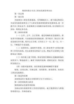 集团有限公司员工职业发展管理办法.docx