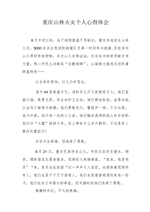 重庆山林火灾个人心得体会.docx