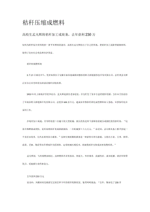 秸秆压缩成燃料.docx