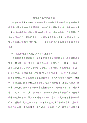 计量服务盐湖产业发展.docx