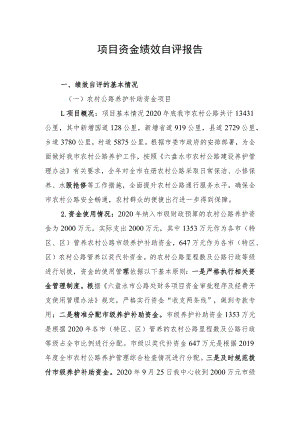 项目资金绩效自评报告.docx