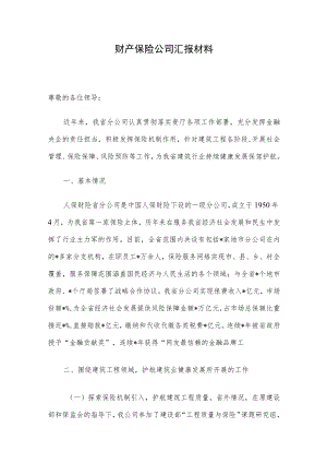 财产保险公司汇报材料.docx