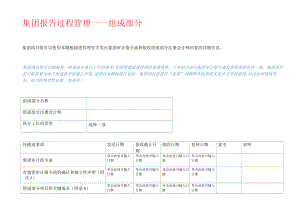 集团报告过程管理——组成部分.docx